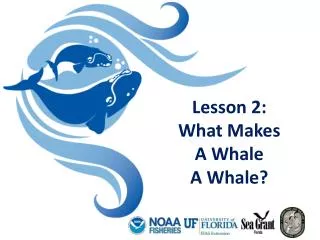 Lesson 2: What Makes A Whale A Whale?