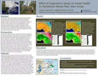 Effect of Superstorm Sandy on Forest Health In Hartshorne Woods Park, New Jersey