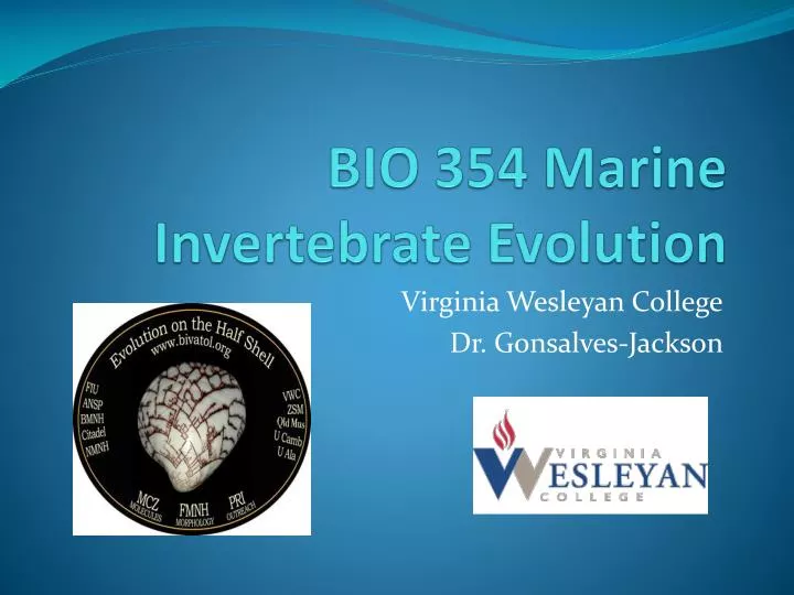 bio 354 marine invertebrate evolution