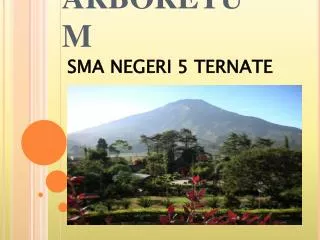 arboretum