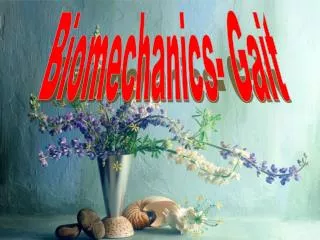 Biomechanics- Gait