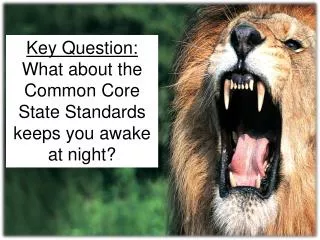 Key Question: What about the Common Core State Standards keeps you awake at night?