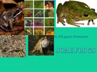 Some frogs