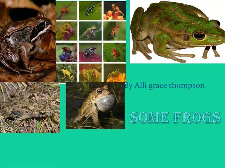 some frogs