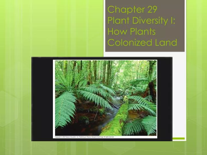 chapter 29 plant diversity i how plants colonized land