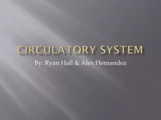 circulatory system