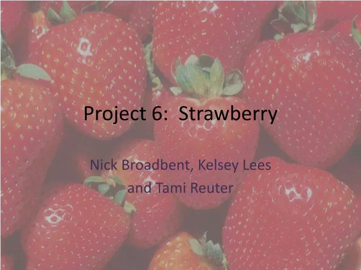project 6 strawberry