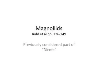 Magnoliids Judd et al pp. 236-249