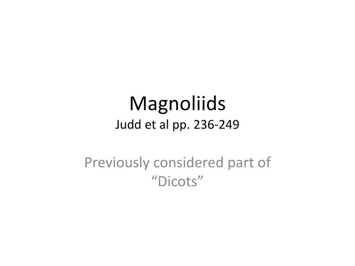 magnoliids judd et al pp 236 249