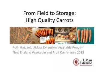 From Field to Storage: High Quality Carrots