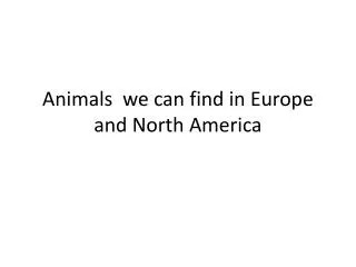 Animals we can find in Europe and North America