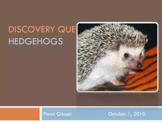 Discovery Quest : HEDGEHOGS