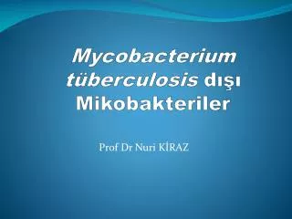 mycobacterium t berculosis d mikobakteriler