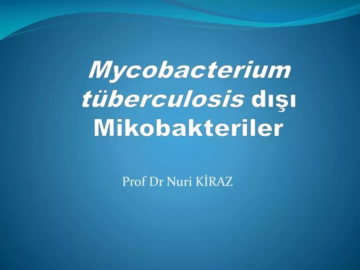 mycobacterium t berculosis d mikobakteriler