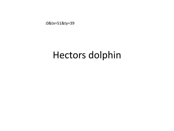 hectors dolphin
