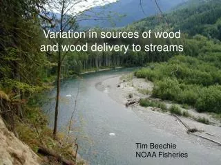 Variation in sources of wood and wood delivery to streams