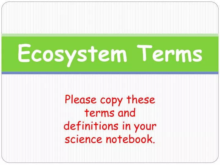 ecosystem terms