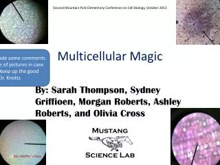 Multicellular Magic