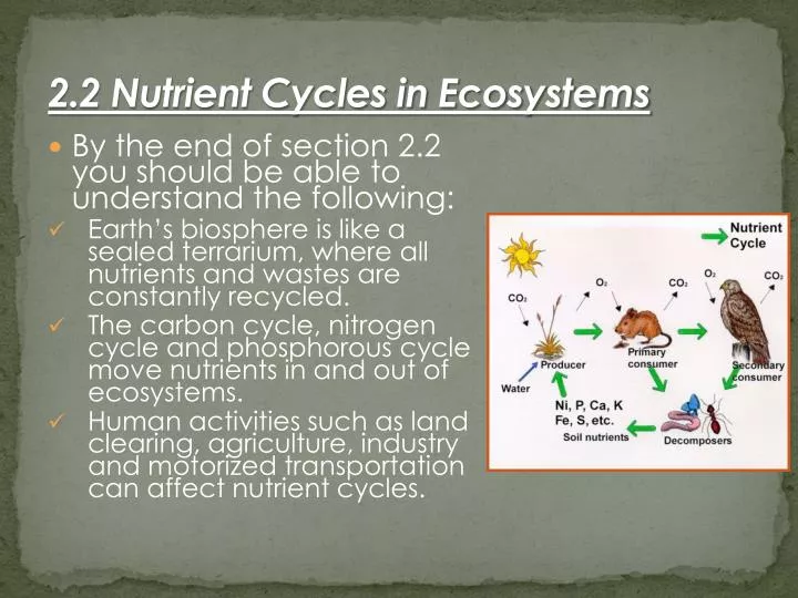 2 2 nutrient cycles in ecosystems