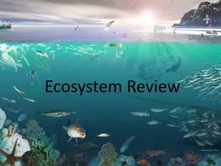 Ecosystem Review