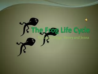 The Frog Life Cycle