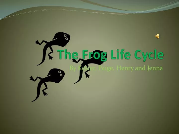 the frog life cycle