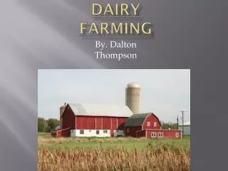 Dairy Farming