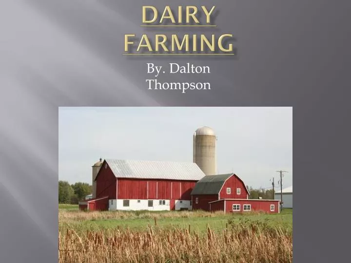 dairy farming