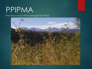 PPIPMA Pine Pass Invasive Plant Management Area