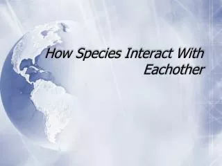 How Species Interact With Eachother