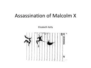 Assassination of Malcolm X Elizabeth Kelly