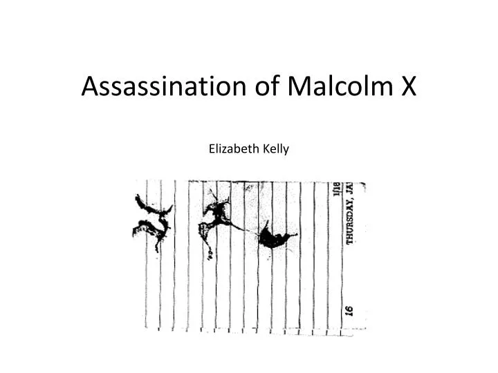 assassination of malcolm x elizabeth kelly