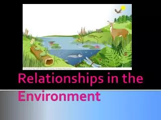 Relationships in the Environment