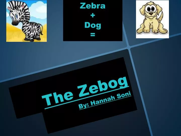 the zebog