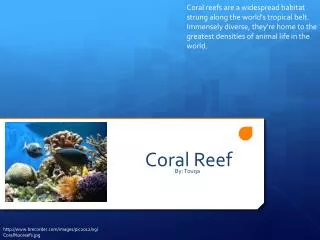 Coral Reef