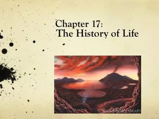 Chapter 17 :