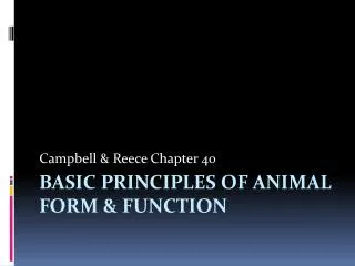 Basic Principles of animal form &amp; function