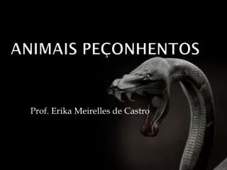 animais pe onhentos