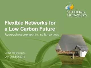Flexible Networks for a Low Carbon Future