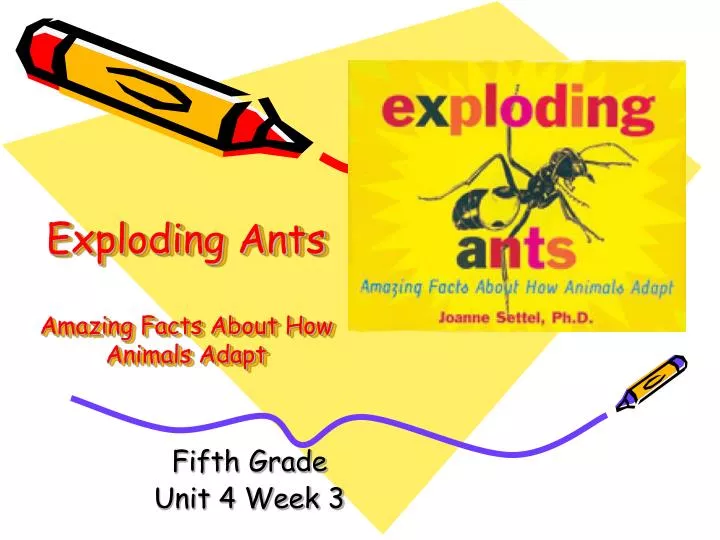 exploding ants amazing facts about how animals adapt
