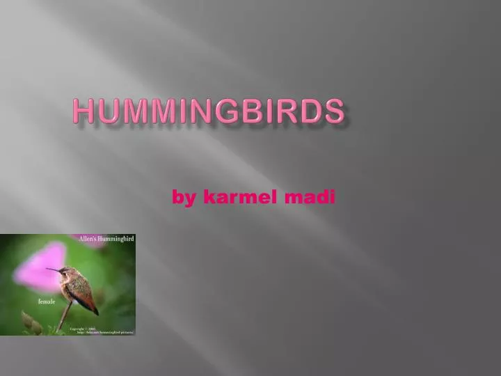 hummingbirds