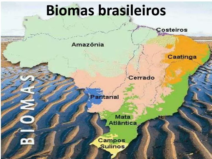 Biomas Terrestres - tundra, taiga, florestas, campos - Cola da Web em  2023