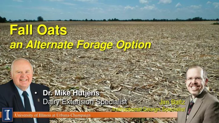 fall oats an alternate forage option
