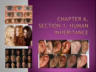 Chapter 6, Section 1: Human Inheritance