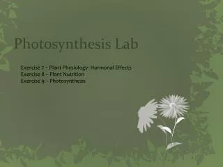 Photosynthesis Lab