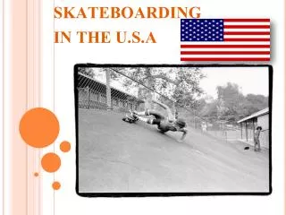 skateboarding in the u s a