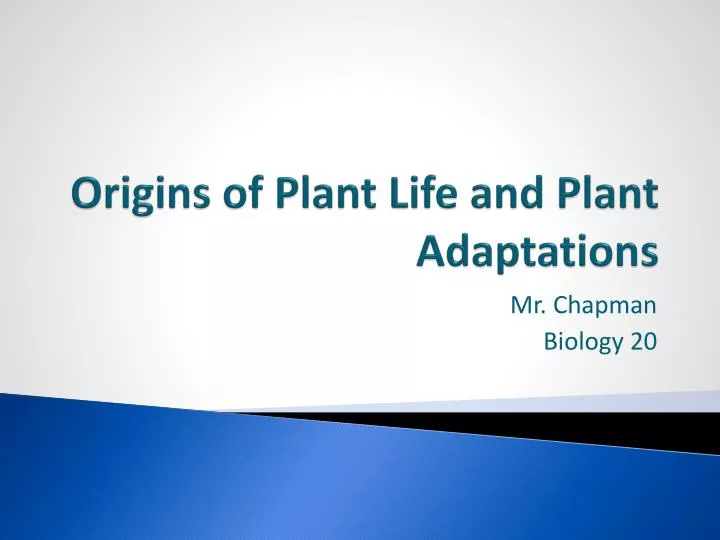 origins of plant life and plant adaptations