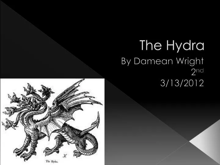 the hydra