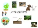 Living Organisms - slide 1