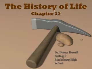 The History of Life Chapter 17
